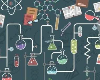 纽甜临床安全性实验：常规毒理学和遗传毒理学实验